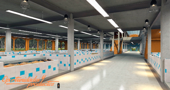 mercado fontamara proyecto de euerofinsa