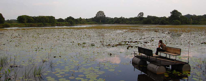 proyectos de eurofinsa en sri lanka