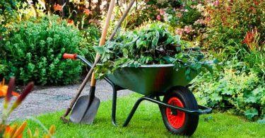 Herramientas esenciales para iniciarse en la jardinería